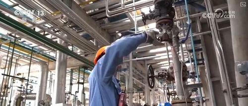 煉化工廠成鳥兒新 家 綠色工廠 盡顯工業(yè)之美