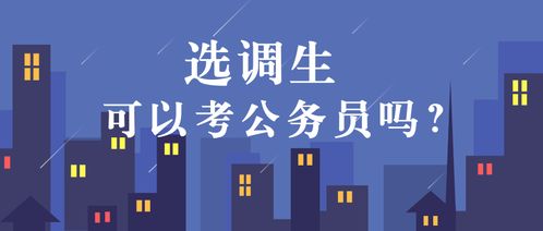 選調(diào)生可以考公務(wù)員嗎
